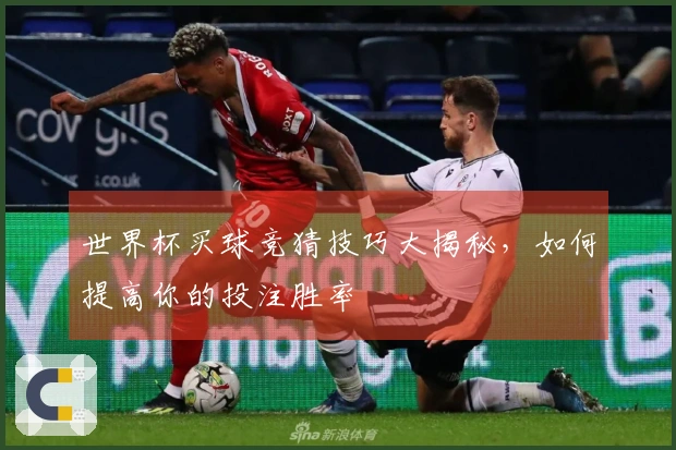 世界杯买球竞猜技巧大揭秘，如何提高你的投注胜率