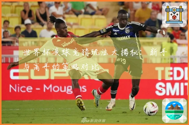 世界杯滚球竞猜玩法大揭秘：新手与高手的策略对比