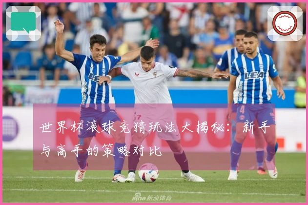 世界杯滚球竞猜玩法大揭秘：新手与高手的策略对比