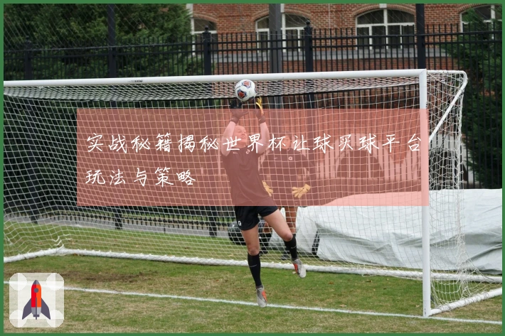 实战秘籍揭秘世界杯让球买球平台玩法与策略
