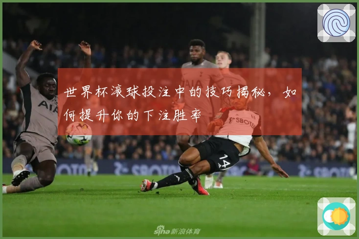 世界杯滚球投注中的技巧揭秘，如何提升你的下注胜率